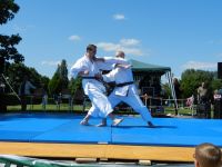 Bilder_2012 (3)